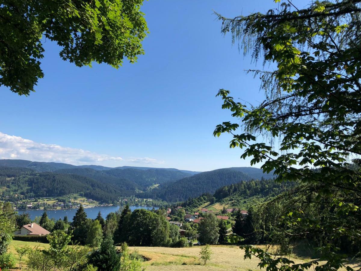 Gerardmer : Residence "L'Eau Vive" Dış mekan fotoğraf